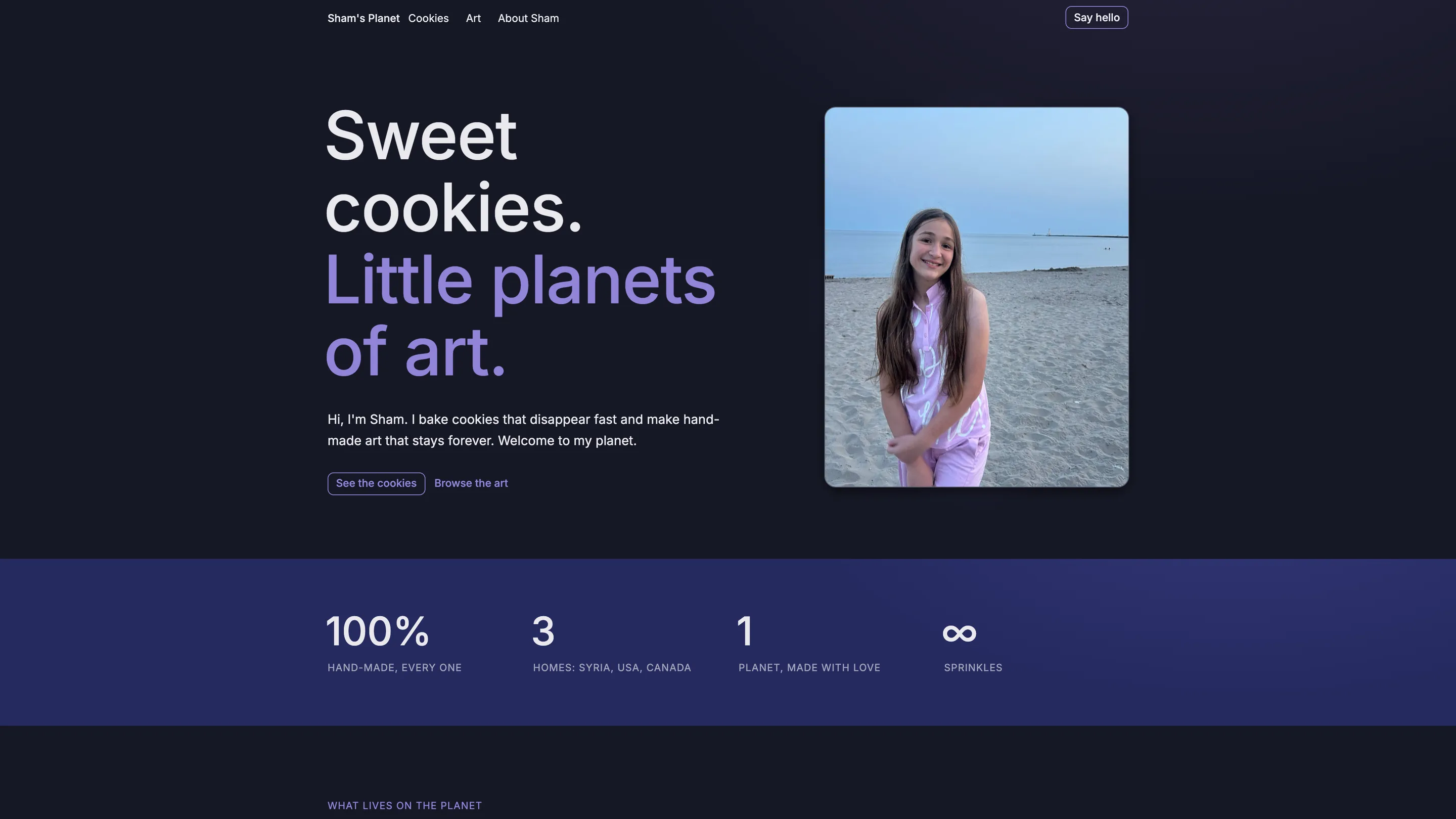 Sham Planet: the homepage of shamplanet.com, with the headline Sweet cookies. Little planets of art. beside a portrait of Sham on a beach